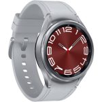 Samsung Galaxy Watch6 Classic 43mm SM-R950 Silver